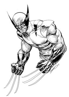 236x330 Wolverine By Brandon Peterson