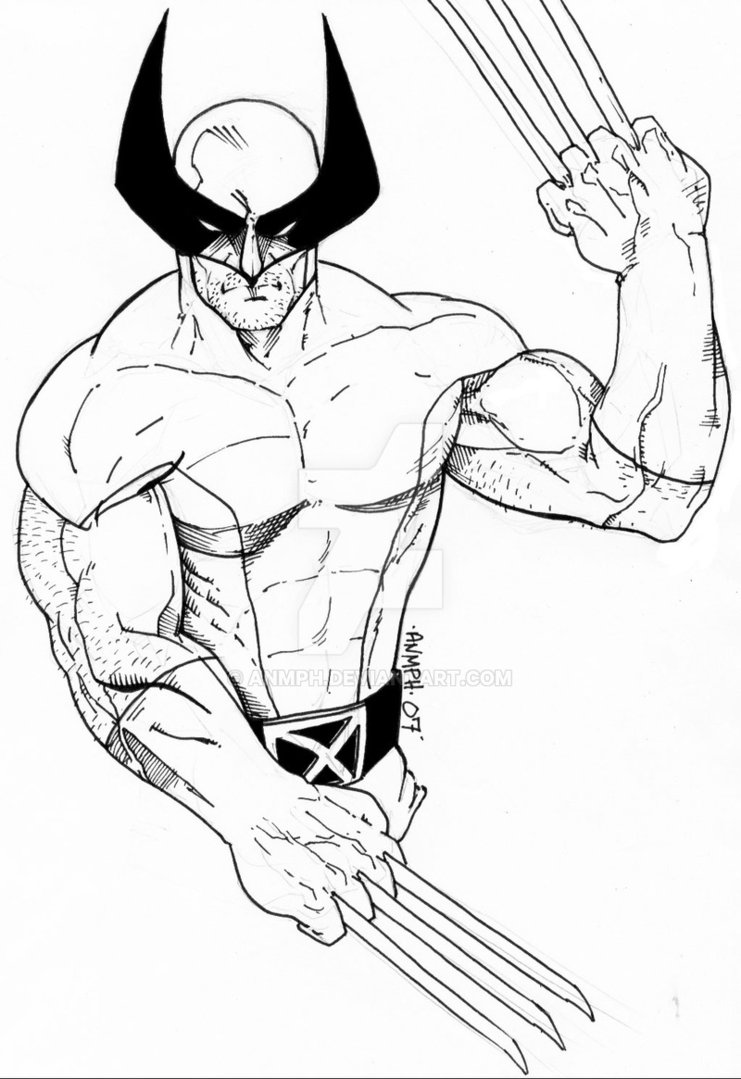 Wolverine Cartoon Drawing at GetDrawings | Free download