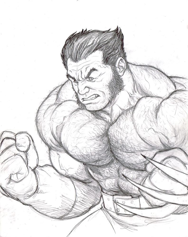 792x1000 Wolverine Rough Sketch By Nmrosario