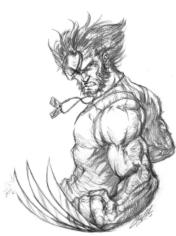 600x802 Wolverine Sketch By Cdubbart