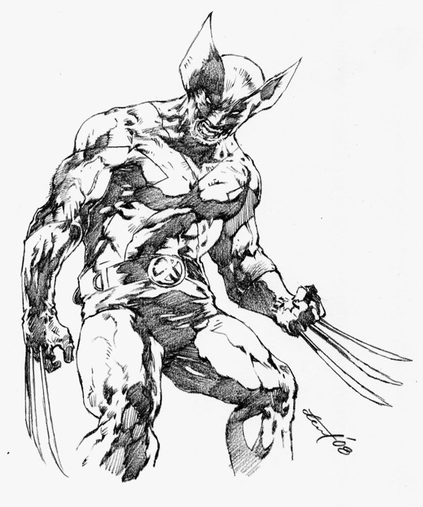 600x718 Wolverinesketch By Dwinbotp