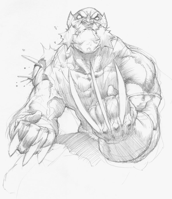 Wolverine Drawing at GetDrawings | Free download