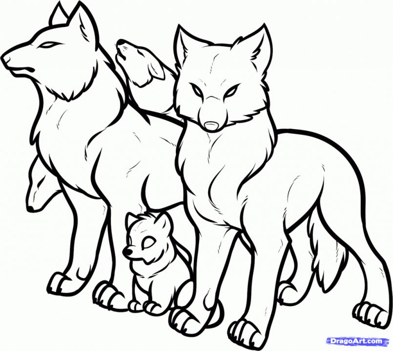 805x719 Cartoon Drawing Wolves