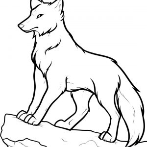300x300 How To Draw Anime Wolves Step Drawing Ebabaacbcbabbd Adult