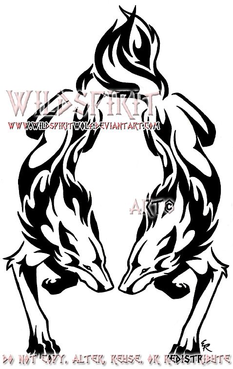 478x757 2 Wolves Fighting No Hir