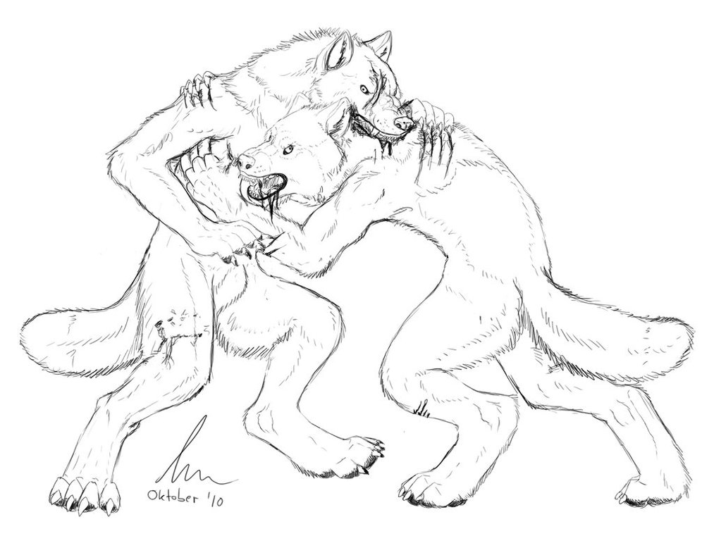 1013x788 Werewolf Fight