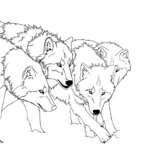 300x300 Wolf Fighting Coloring Pages Best Of Anime Wolf Coloring Pages
