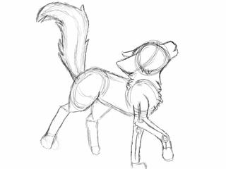 320x240 Liked Drawings By Fillysecond