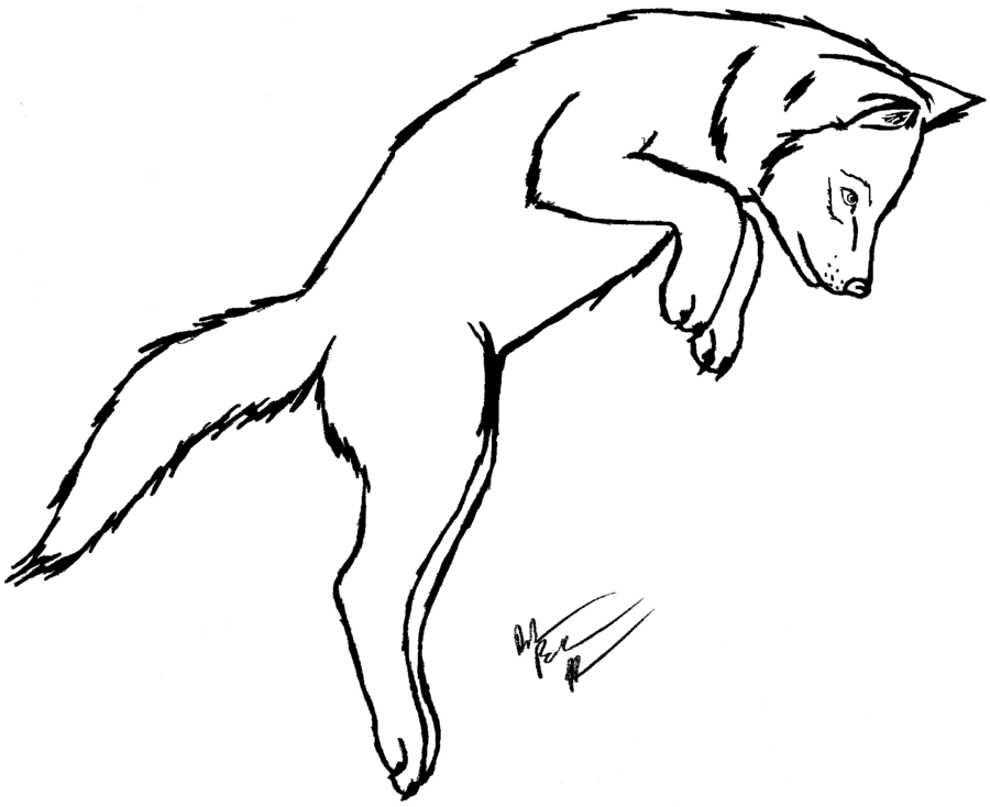 900x734 Wolf Pup Coloring Pages