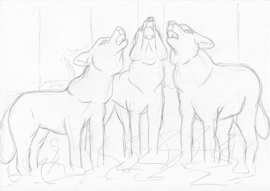 900x636 Sketch Three Wolves Howling By Yukimura Yumiko