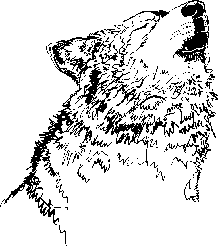 759x856 Wolf Howling Clipart Black And White