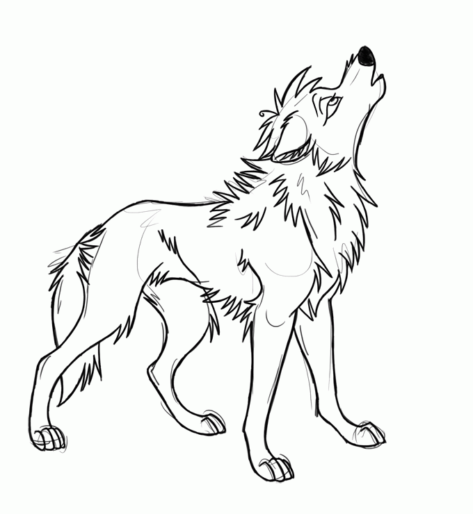 680x740 Wolf Pictures To Draw