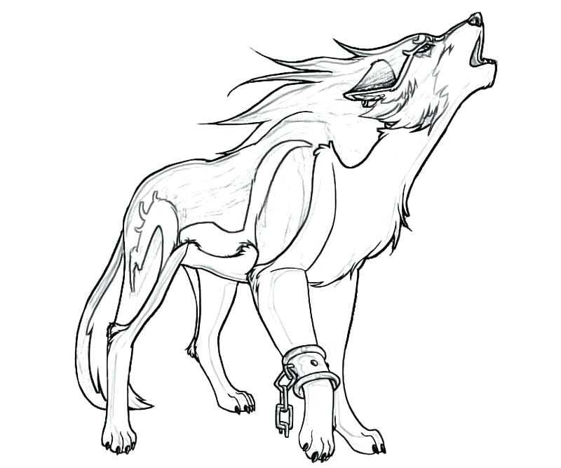 800x667 Coloring Pages Of Wolves Or Wolf Howling At The Moon Coloring