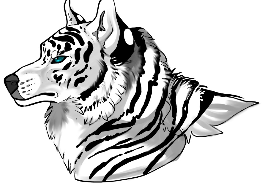 892x644 Drawn White Tiger White Wolf