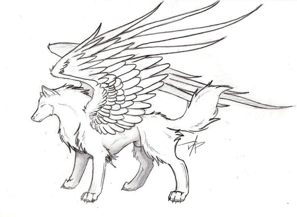 600x440 Drawn Wolf Winged Wolf