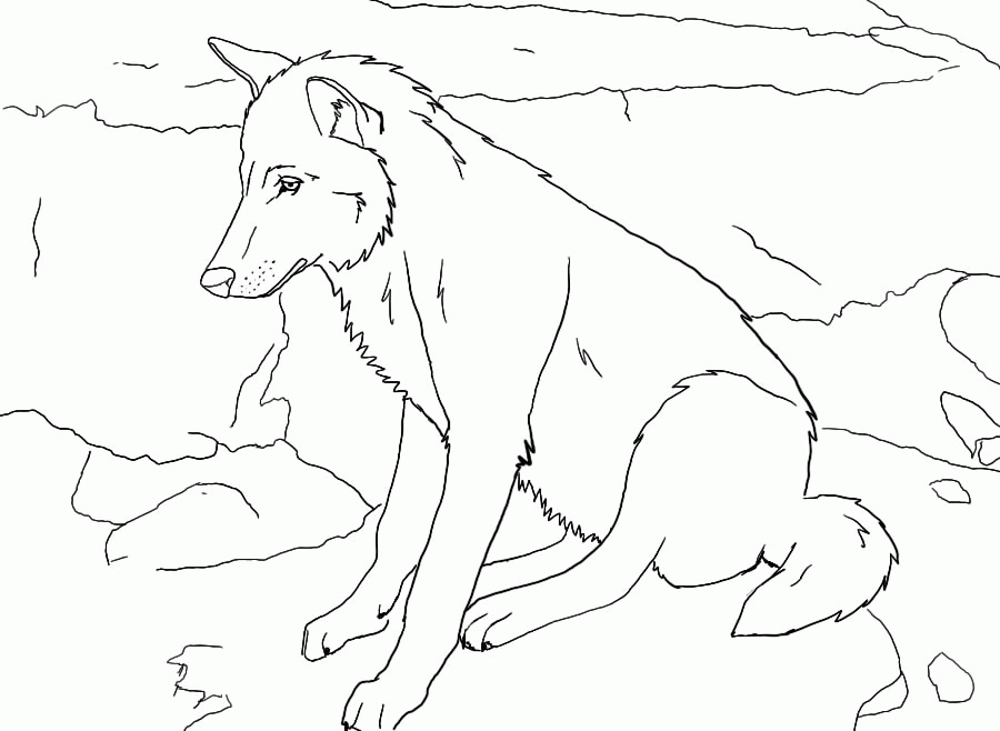 900x658 Wolf Outline Drawing 281470