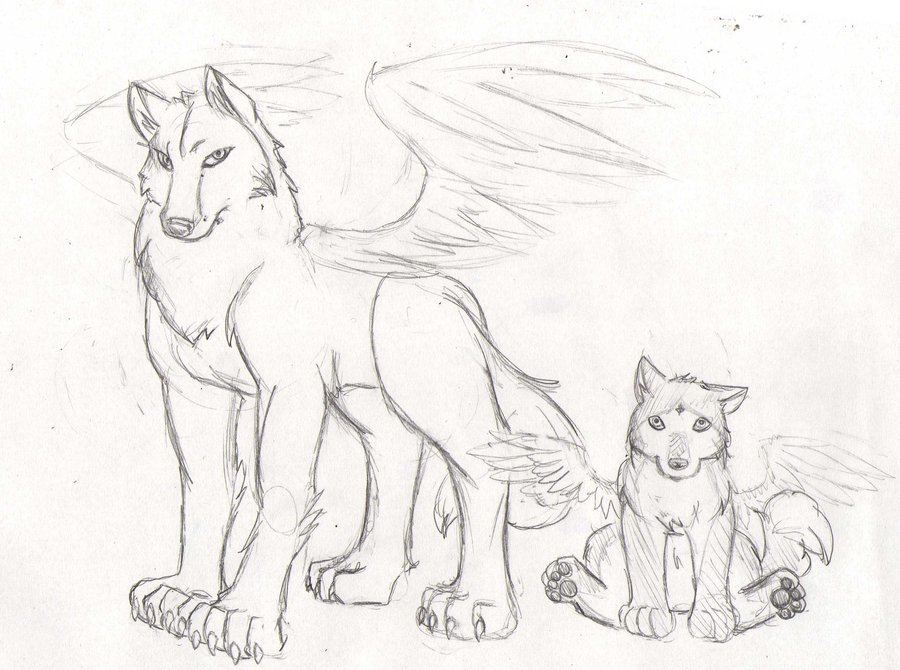 900x670 Flying Wolves By Rayandante