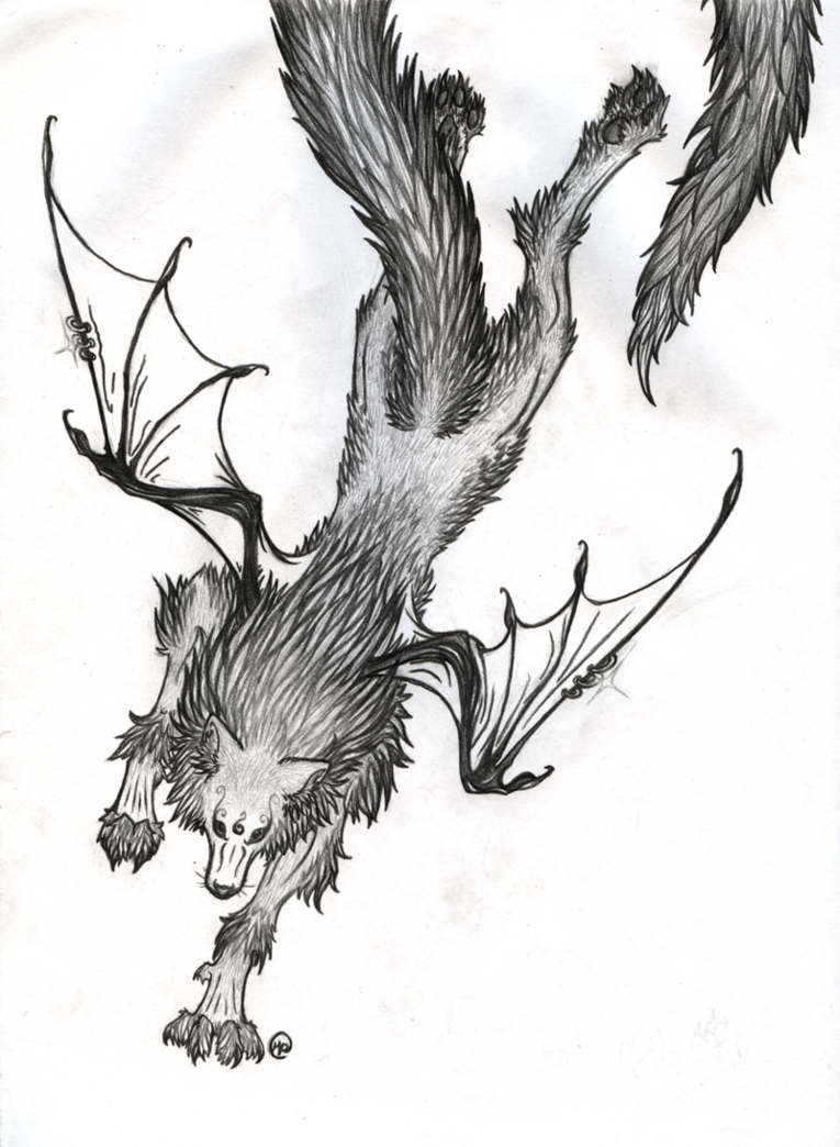 765x1044 Wolf Drawings In Pencil With Wings