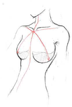 250x368 How To Draw Female Bodies My Anime Paradise
