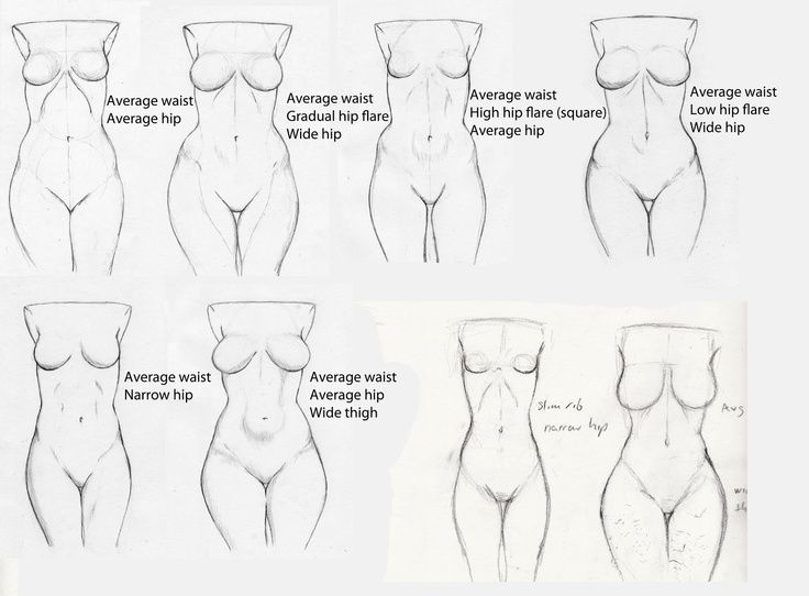 736x542 Pin By Joan Vonk On How To Draw Drawings, Anatomy