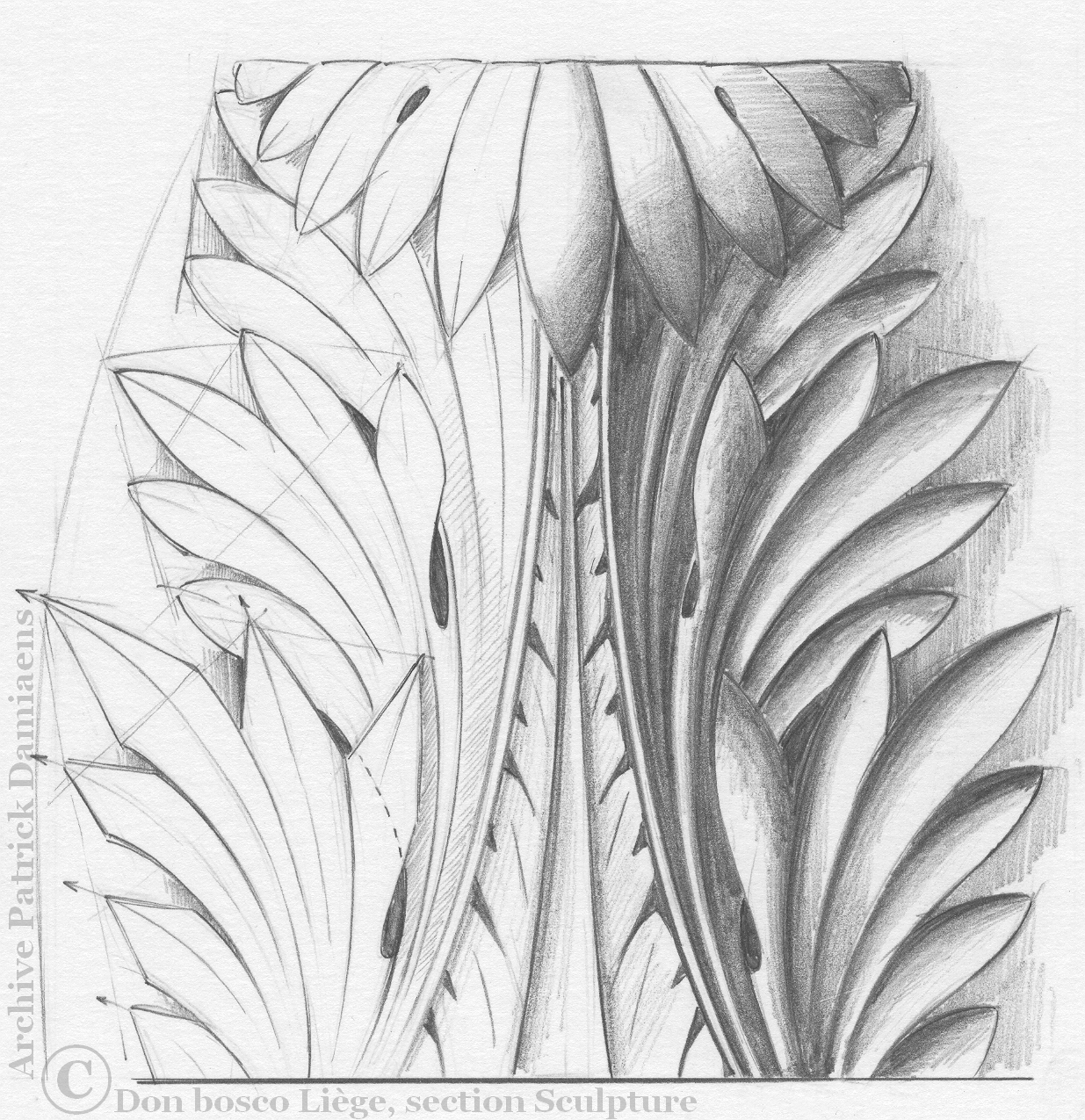 1235x1275 Acanthus Leaf Drawing Ornamental Drawings Designs For Wood