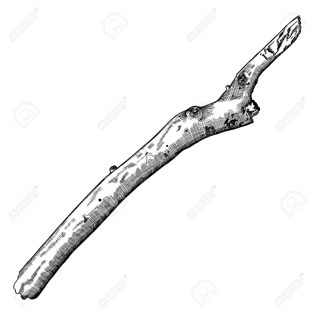 1300x1300 Hand Drawn Wood Twig, Ink Rustic Design Element. Dry Wood Tree