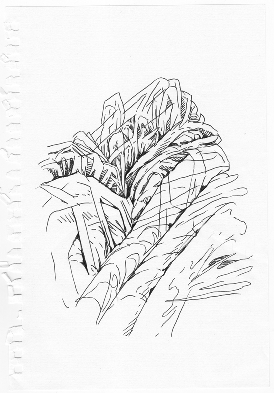 550x789 Sketchbook Porn Allyce Wood