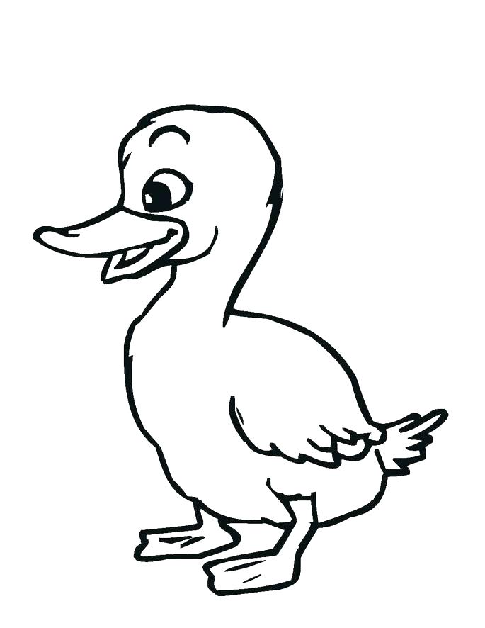 685x886 Duck Coloring Book And Download Free Baby Duck Drawing Page 16