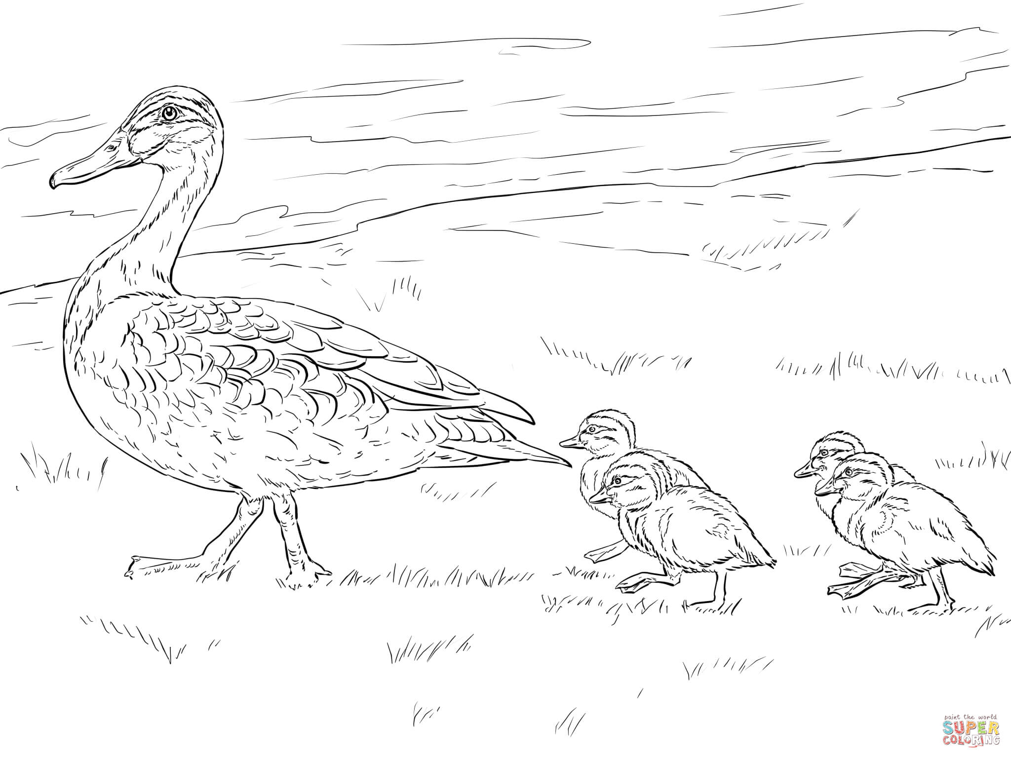 2048x1536 Duck And Ducklings Walking Coloring Page Free Printable Coloring