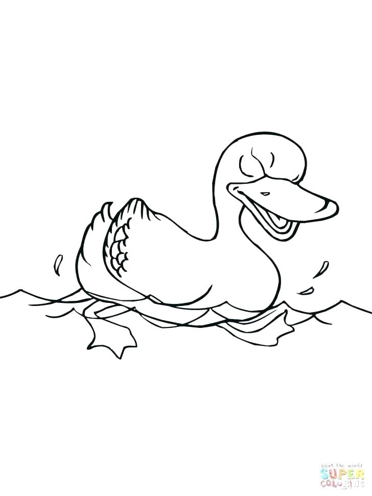728x971 Ducks Coloring Page Wood Duck Coloring Page Easter Ducks Coloring