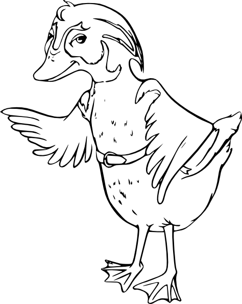 474x595 Wood Duck Clip Art