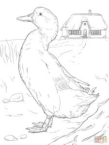 225x300 Wood Duck Drake Pattern Coloring Page