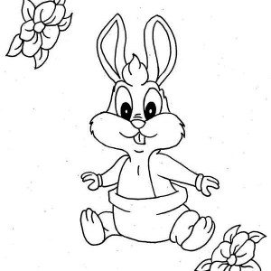 300x300 Wood Duck Duckling Coloring Page