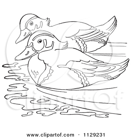 450x470 Wood Duck Nest Coloring Page Great Blue Heron Coloring Page