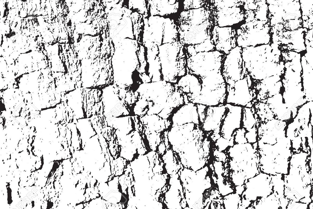 1300x866 A Vector Wood Texture. Abstract Background, Tree Bark. Overlay