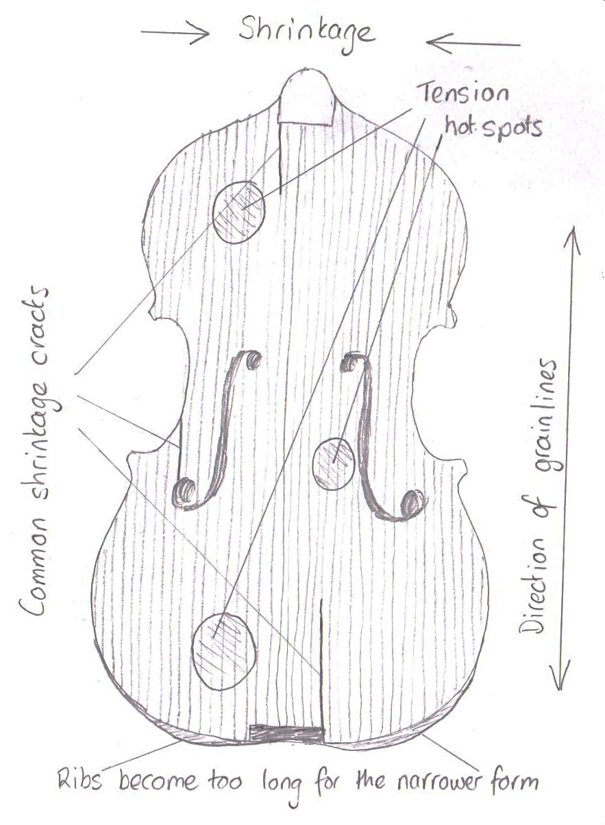 883x1205 Bass Care Instrument Repair Double Basses And Winter Humidity Issues