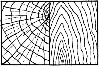 320x212 Wood Clipart Etc