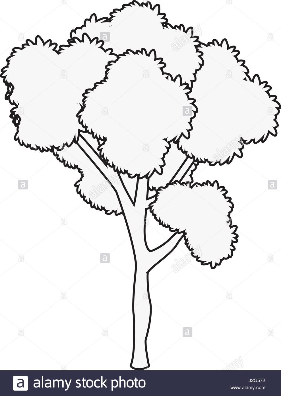 988x1390 Tree Plant Leafy Forest Wood Outline Stock Vector Art