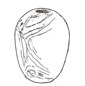 297x300 Artist Harry Wicks Turning Wood To Art Wtp Central