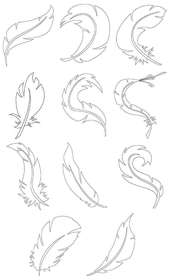 564x932 Feathers, Doodles
