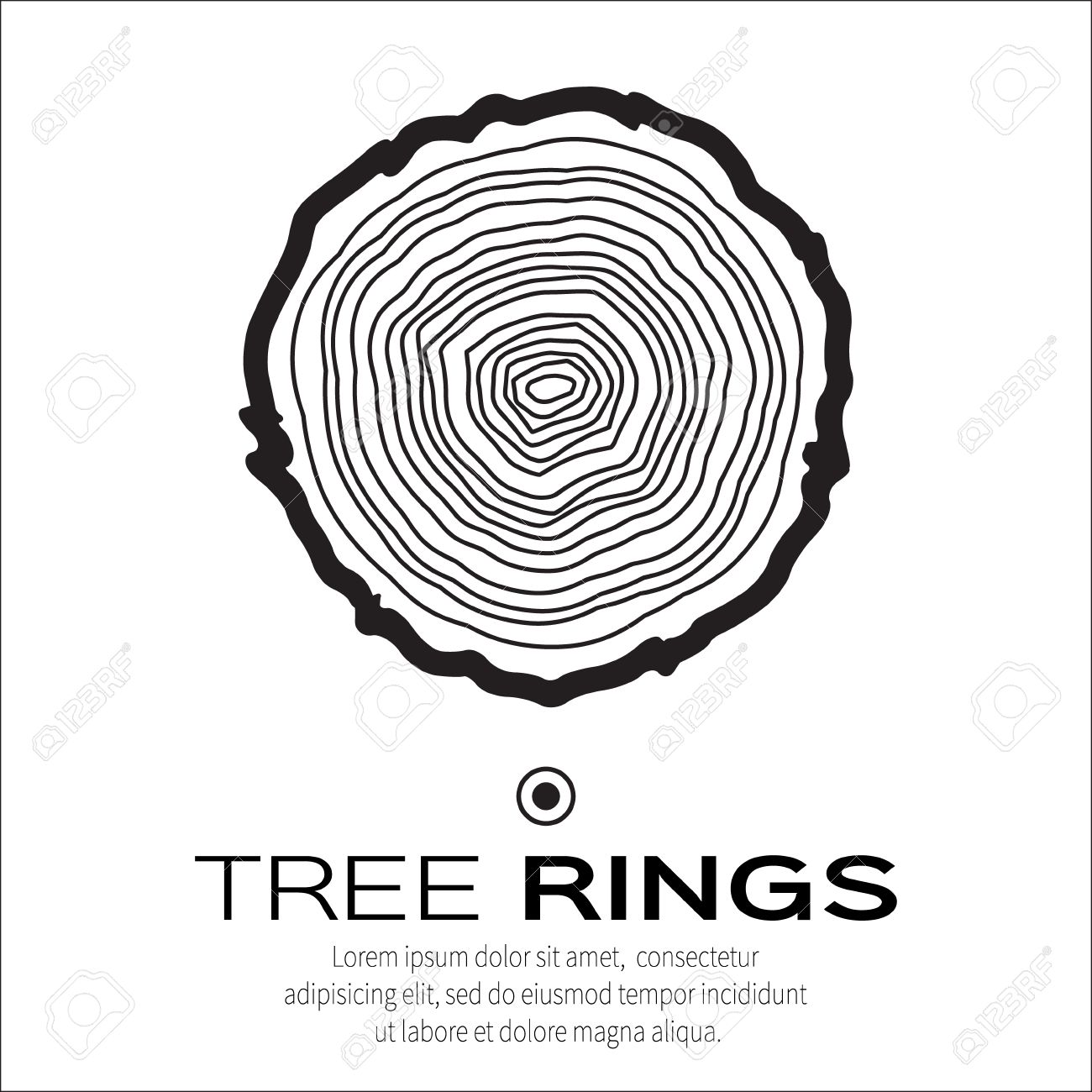 1300x1300 Tree Rings Background Saw Cut Tree Trunk Vector, Forestry
