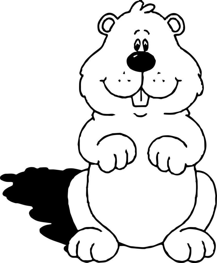 843x1024 Fascinating Best Photos Of How To Draw A Wood Chuck Does Picture