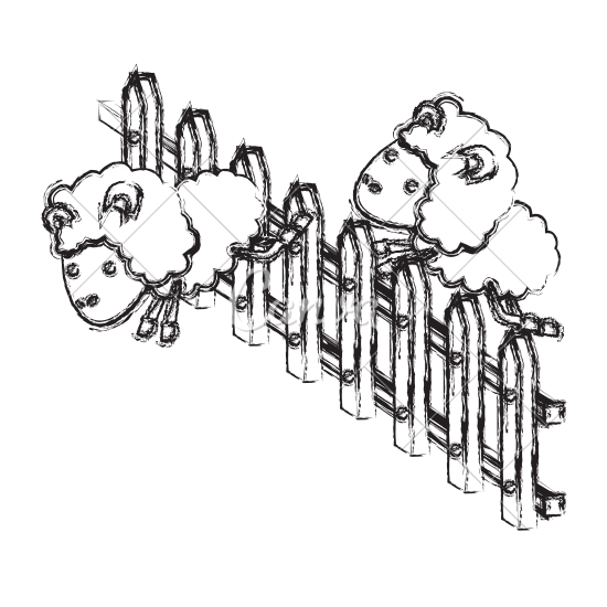 550x550 Sheep Animal Couple Jumping On Wooden Fence