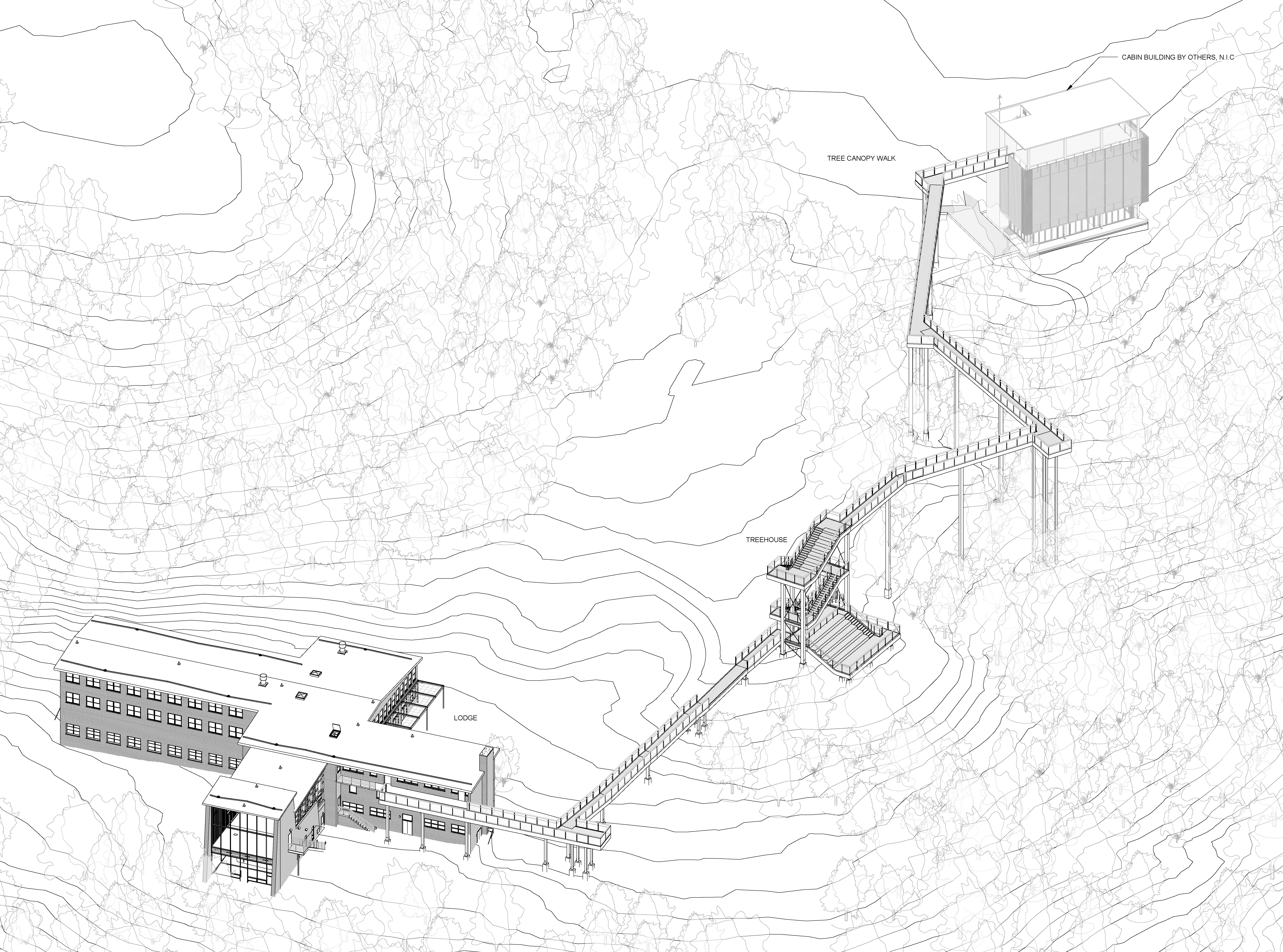 7388x5481 New Project Tree Canopy Walk