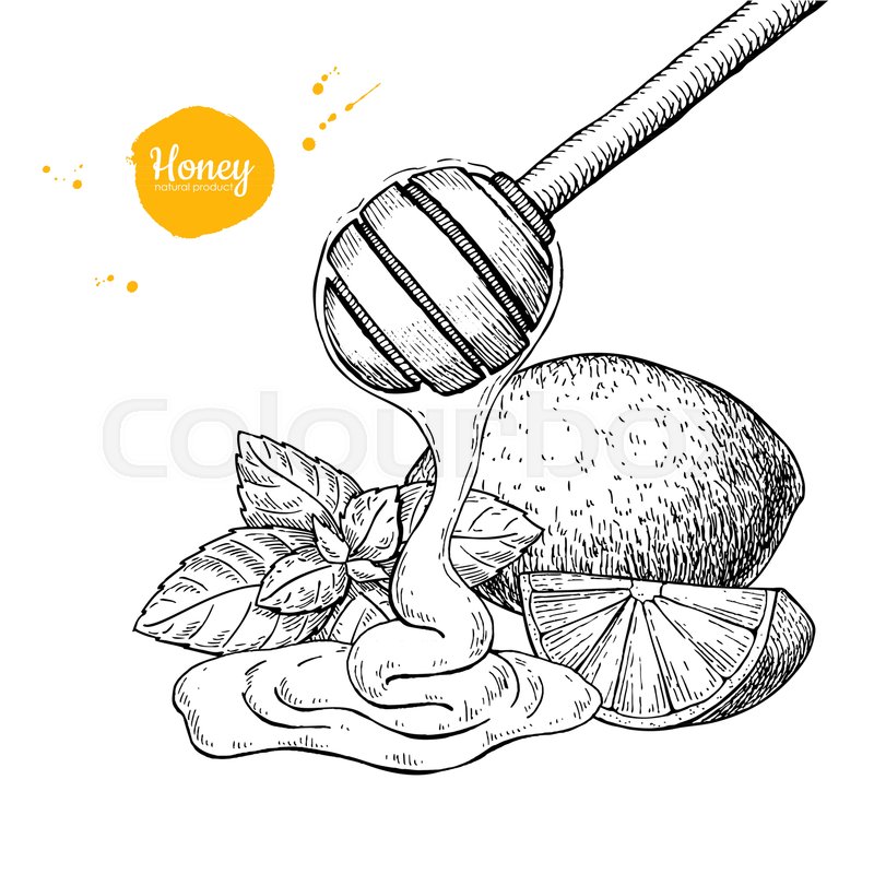 800x800 Honey With Lemon And Mint Vector Drawing. Wooden Spoon, Honey Drop