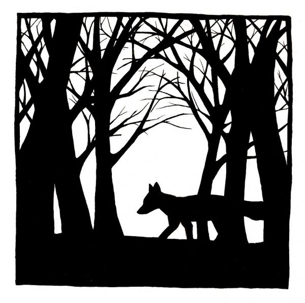 600x595 Fox In Winter Woodland