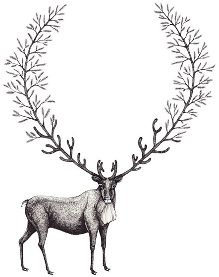 442x560 Laura Mccabe