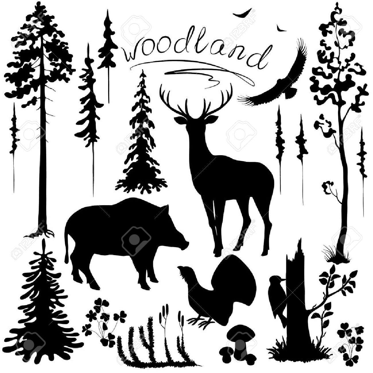 1300x1300 Set Of Silhouettes Of Woodland Plants And Animals. Royalty Free