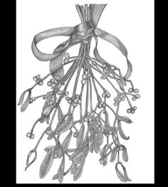 236x263 Blue Tits With Peanuts.