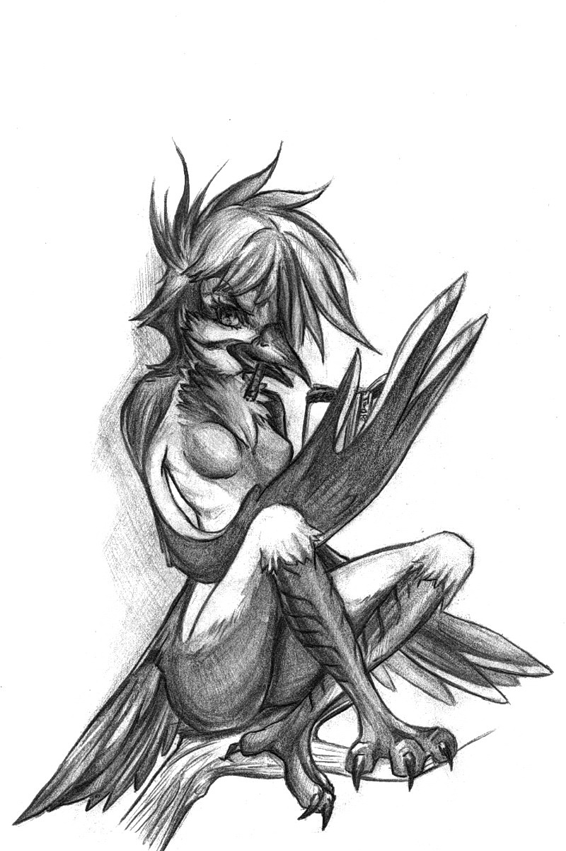 800x1201 Furry Woodpecker By Kiboe